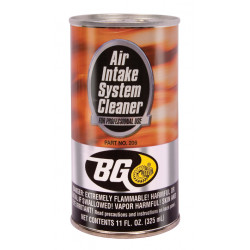 BG206 AIR INTAKE CLEANER